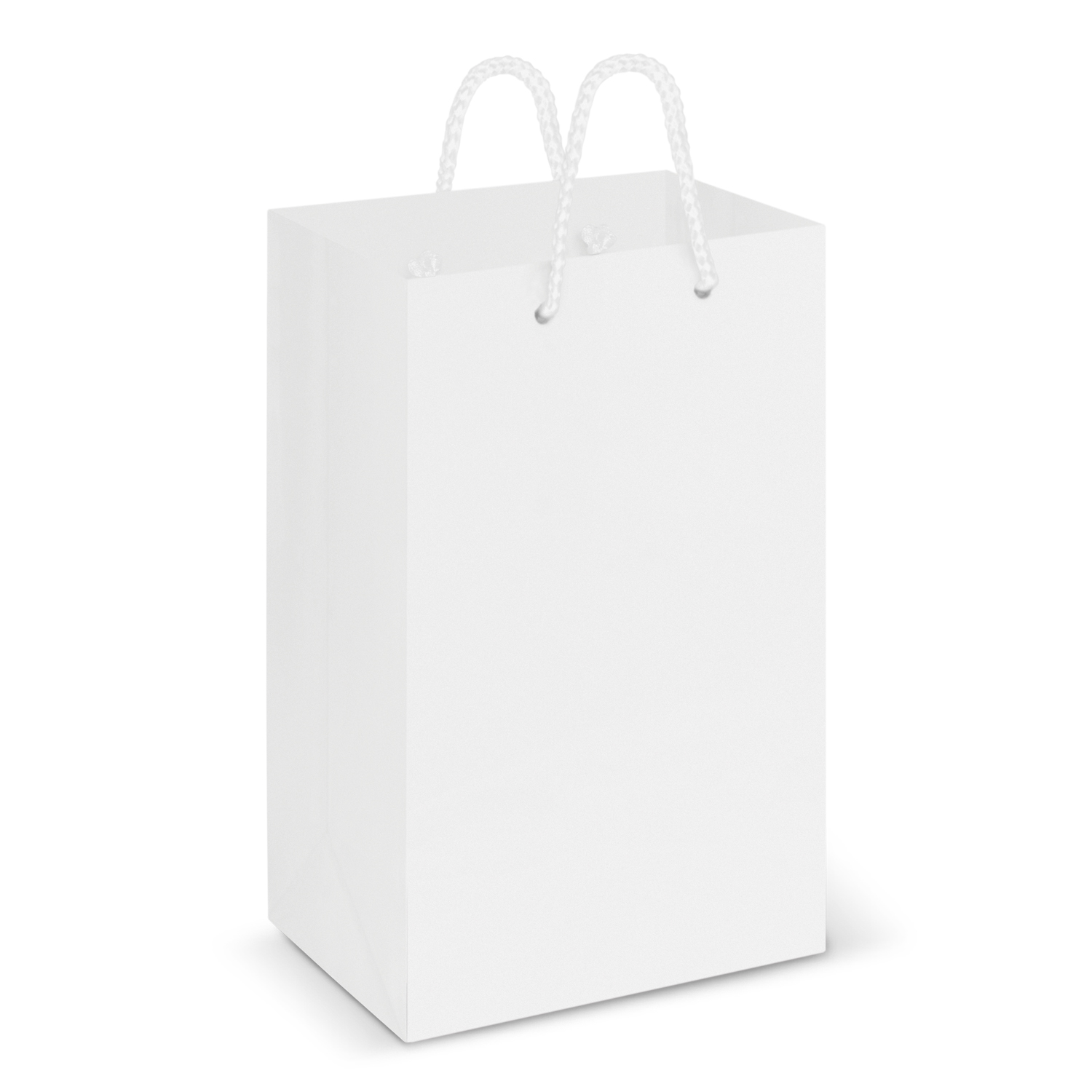 108511 – Laminated Carry Bag – Small
