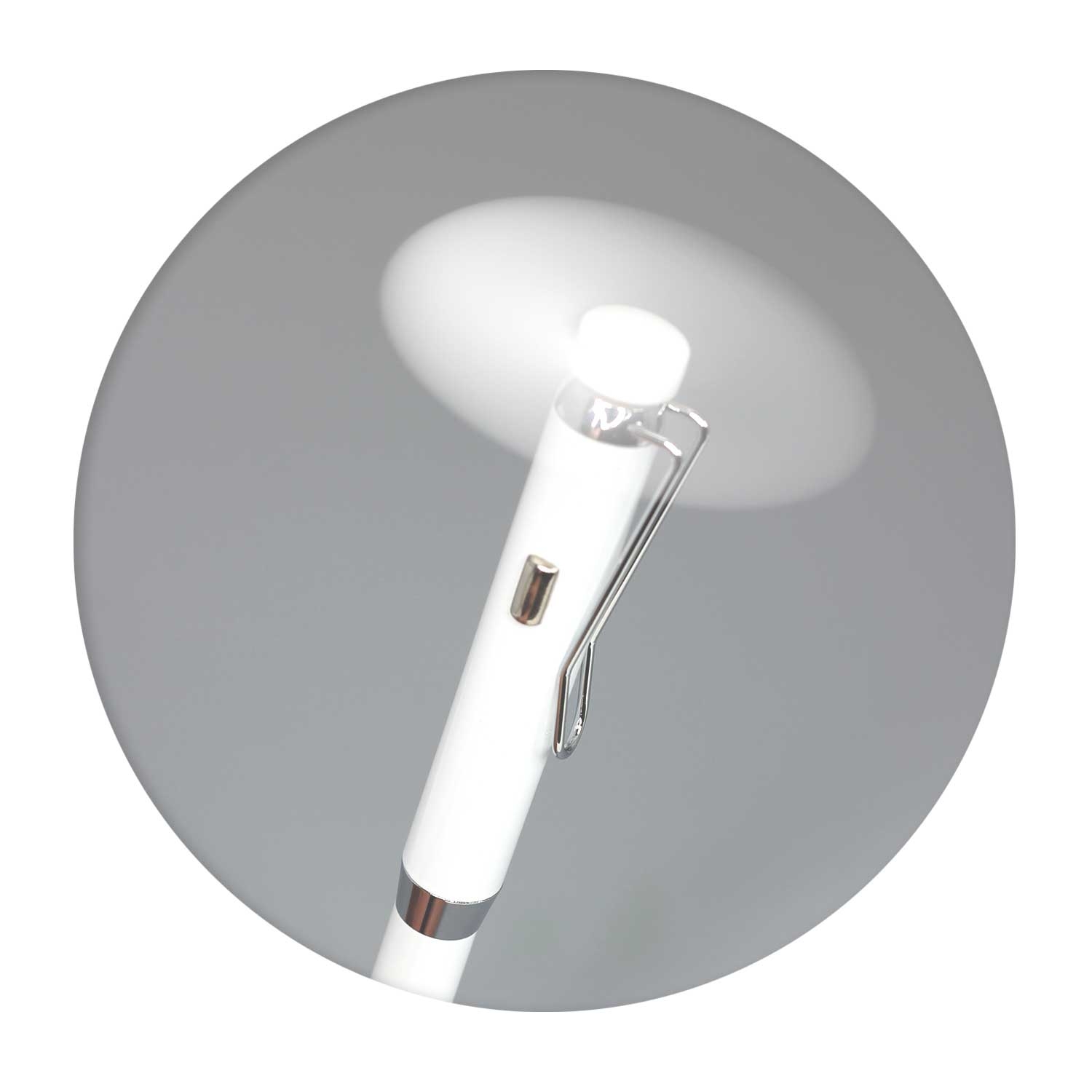 114197 – Fan-Tastic Pen