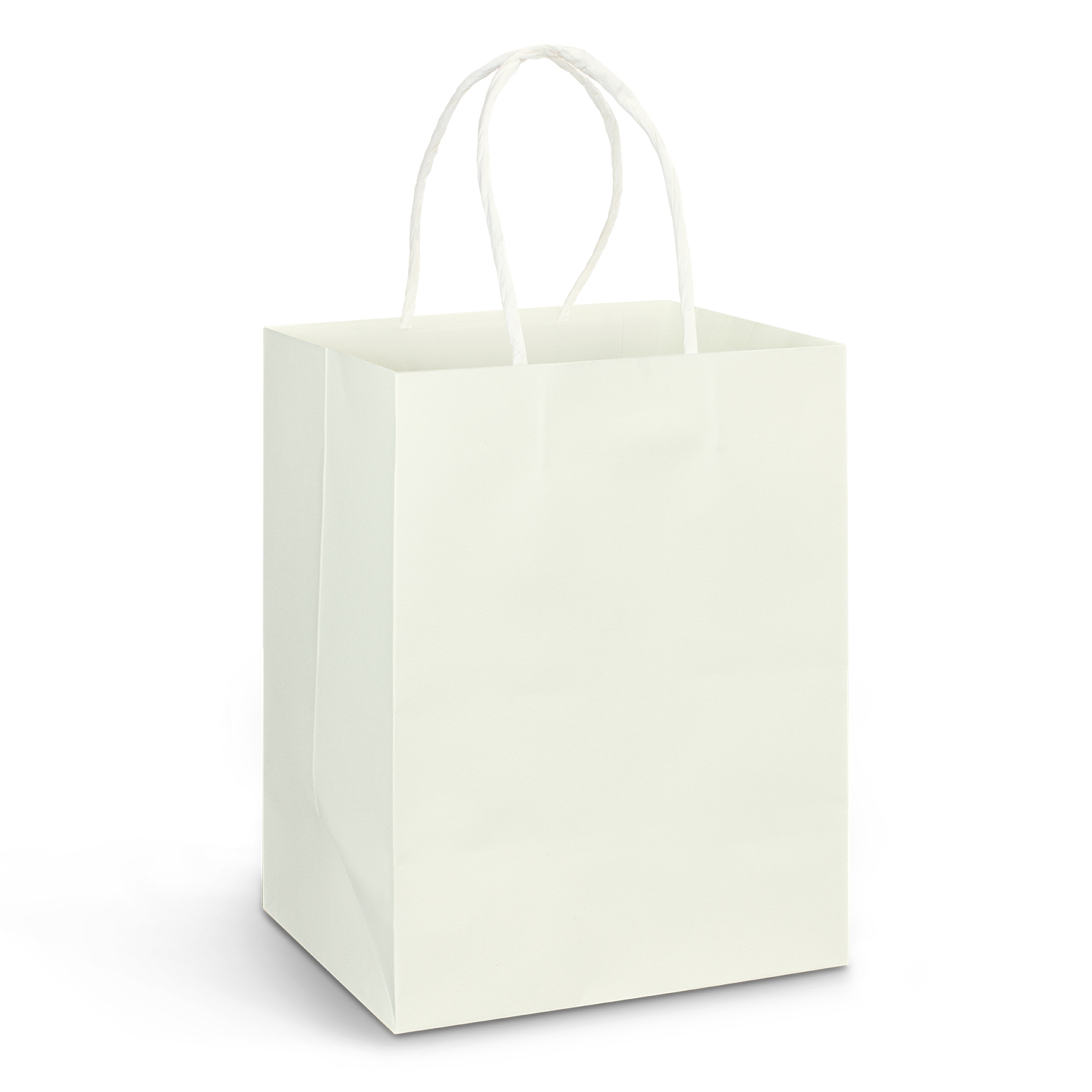 116937 - Large Paper Carry Bag - Full Colour - Image 2