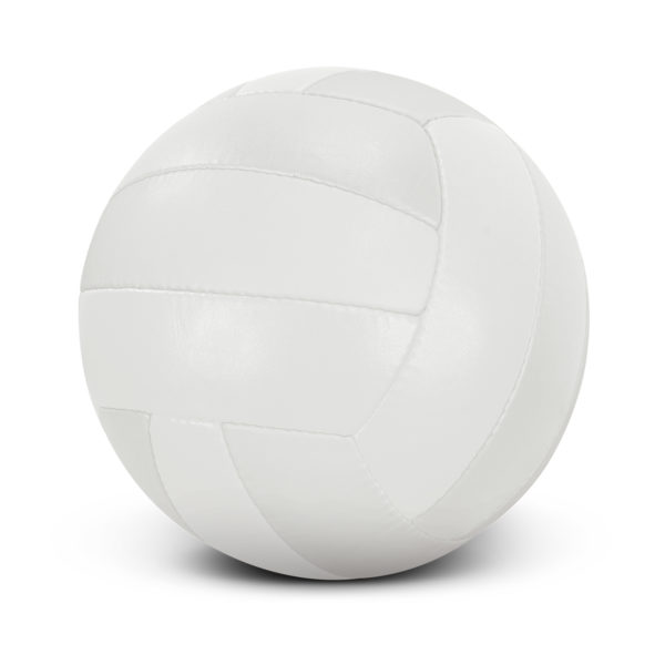 117256 - Volleyball Pro - Image 2