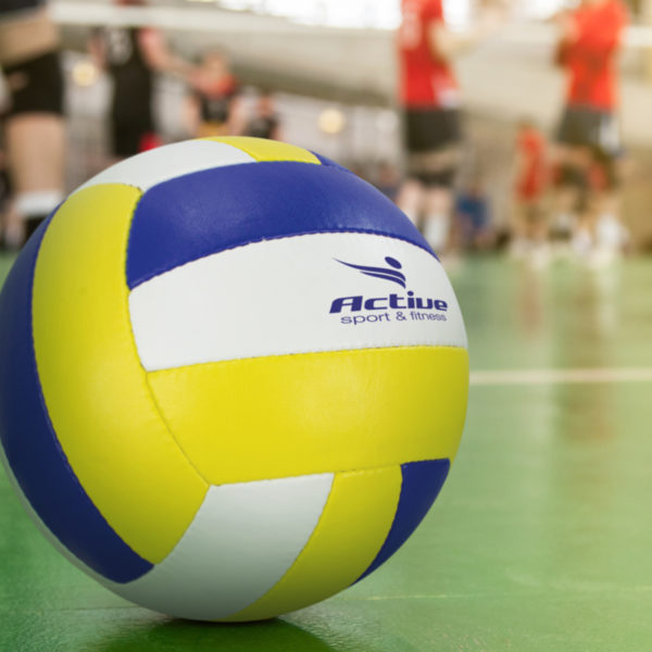 117256 - Volleyball Pro - Image 3