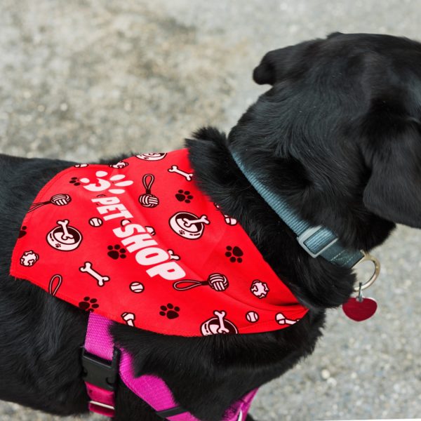pet bandana