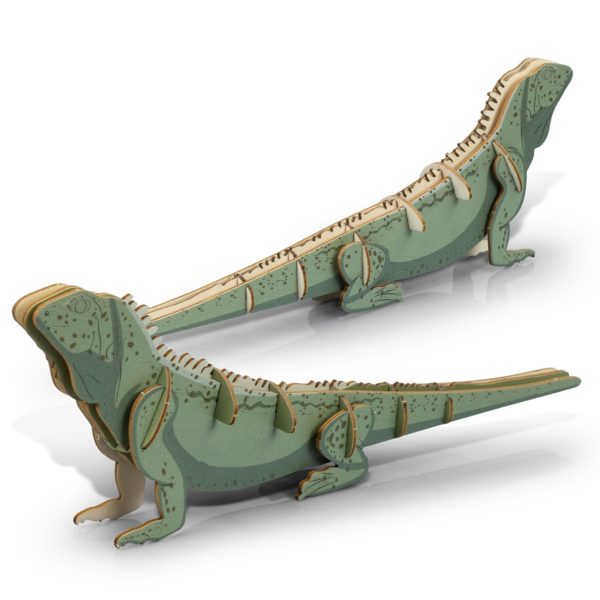 124046 - BRANDCRAFT Tuatara Wooden Model - Image 4