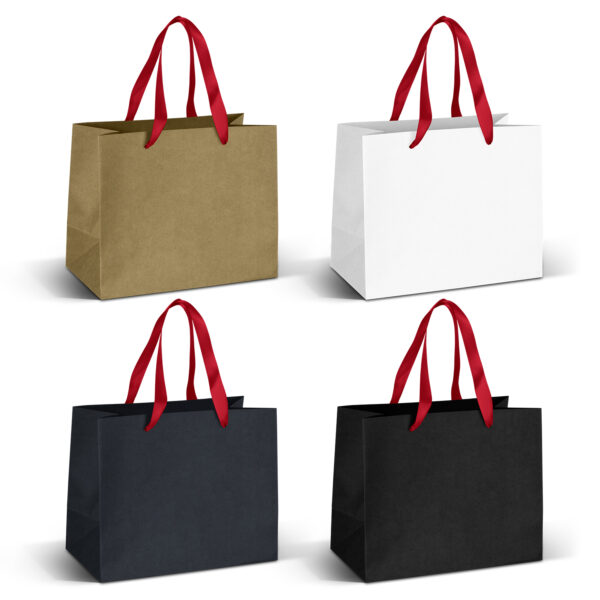 125057 - Medium Ribbon Handle Paper Bag - Image 6