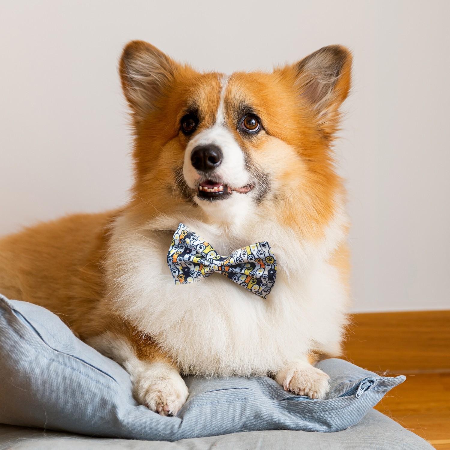 125067 - Amigo Pet Bow Tie - Image 4
