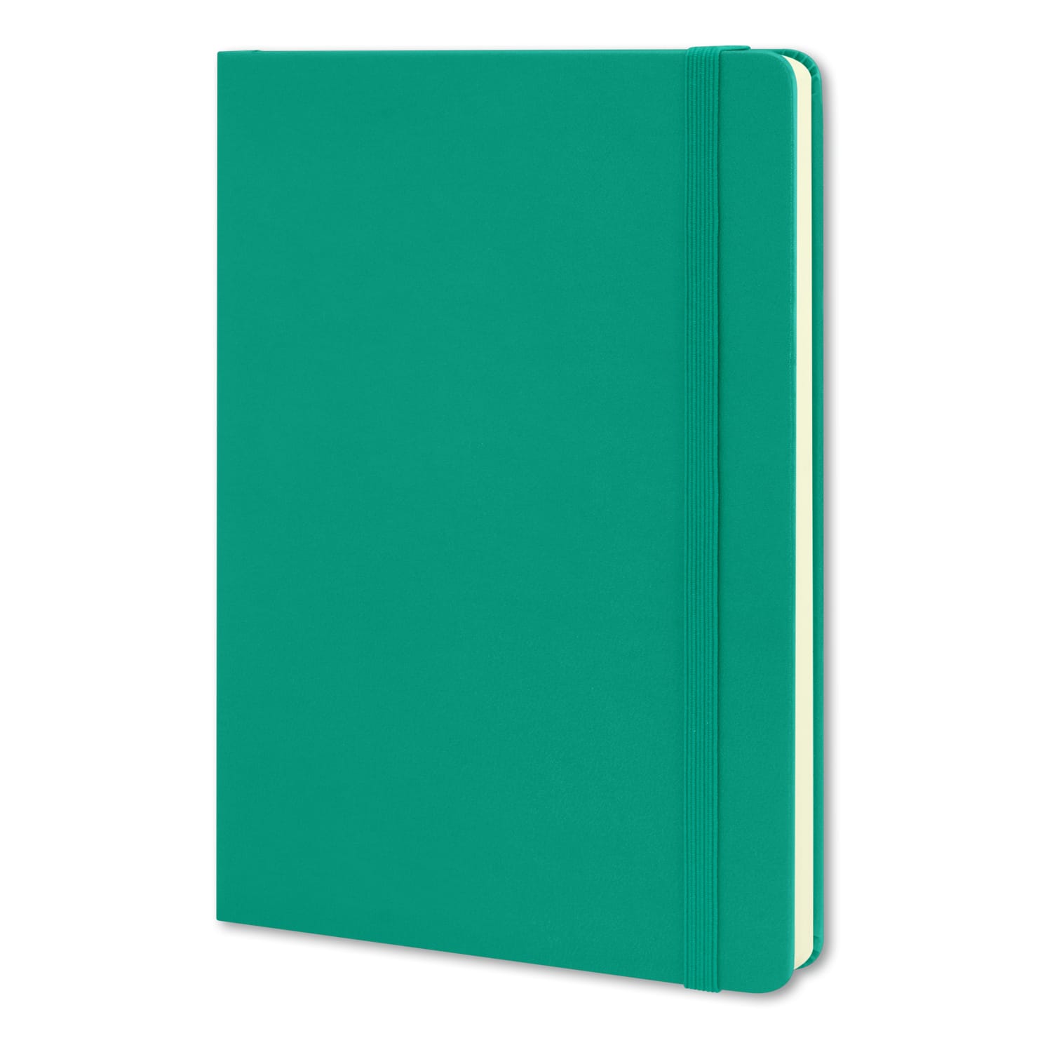 117221 - Moleskine Classic Hard Cover Notebook - Large - Image 6