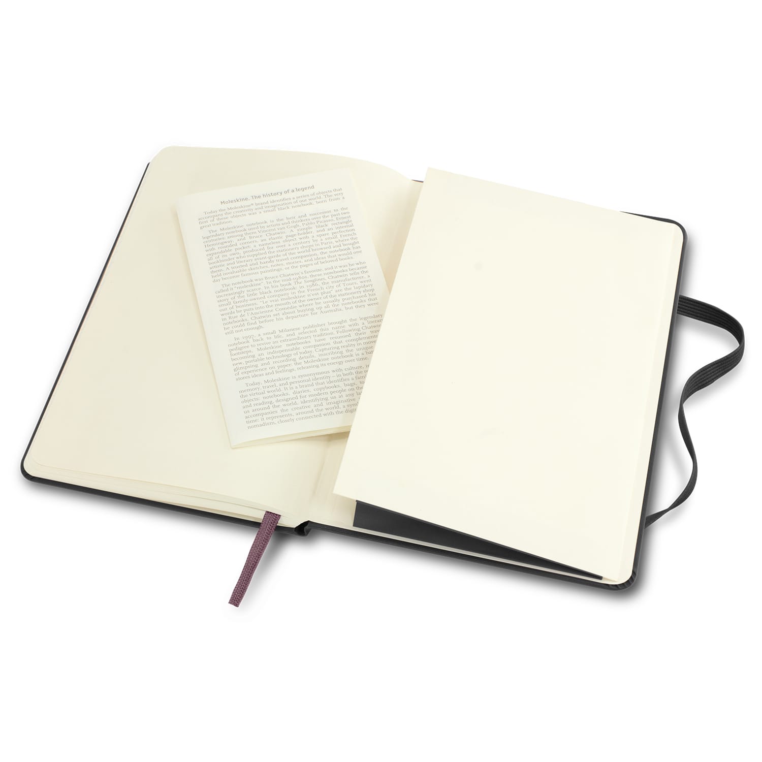 117221 - Moleskine Classic Hard Cover Notebook - Large - Image 14